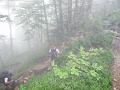 Garbet2009 006